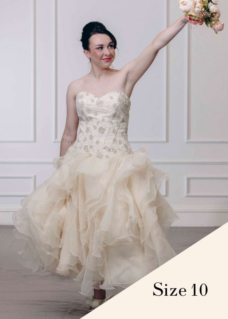 Dress Labels 2 v14
