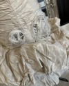 IMG 7638